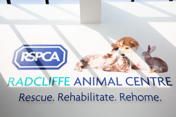 RSPCA 